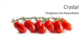  Presentation with tomato plant - Slide set with bunch of fresh tomatoes isolated background and a white colored foreground