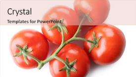  Presentation with tomato plant - Cool new presentation theme with bunch of fresh tomatoes isolated backdrop and a lemonade colored foreground