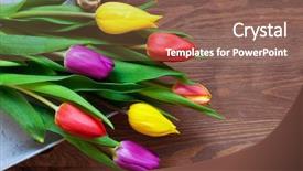  Presentation with rustic wood and flowers - Cool new presentation design with bunch of fresh tulips flowers backdrop and a violet colored foreground