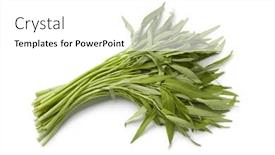  Presentation with fresh water - Presentation theme having bunch of fresh water spinach isolated on white background background and a white colored foreground