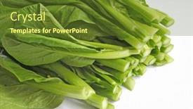  Presentation with cut - Cool new presentation with bunch-of-freshly-cut backdrop and a tawny brown colored foreground