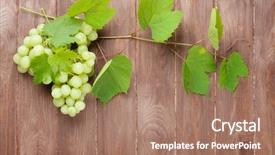  Presentation with table grape - Presentation theme enhanced with bunch of grapes and vine background and a coral colored foreground