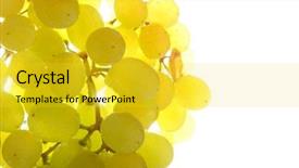  Presentation with bunch - PPT theme with sap entreprise - bunch of grapes background and a yellow colored foreground