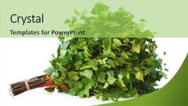  Presentation with white green - Presentation theme enhanced with bunch of green birch twig background and a yellow colored foreground