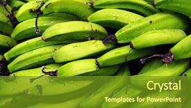  Presentation with bunch - Cool new presentation with bunch of green harvested bananas backdrop and a tawny brown colored foreground