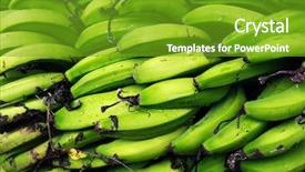  Presentation with bunch - Presentation theme having bunch of green harvested bananas background and a tawny brown colored foreground