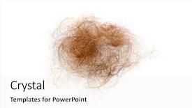  Presentation with hair loss - Audience pleasing PPT theme consisting of bunch of hair hair loss backdrop and a sky blue colored foreground