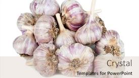  Presentation with heads - Slide set enhanced with bunch-of-heads-of-garlic background and a soft green colored foreground