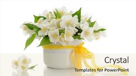  Presentation with jasmine flower - Slides with bunch of jasmine flowers background and a lemonade colored foreground