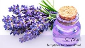  Presentation with essential oil - Presentation design having bunch of lavandula and lavender essential oil isolated on white background background and a light blue colored foreground