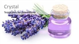  Presentation with essential oil - Audience pleasing slide deck consisting of bunch-of-lavandula-and-lavender backdrop and a white colored foreground