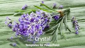  Presentation with lavender flowers - Slide deck featuring bunch of lavandula or lavender flowers on the old wooden table background and a seafoam green colored foreground