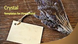  Presentation with lavender flowers - Slide deck featuring bunch of lavender flower background and a tawny brown colored foreground