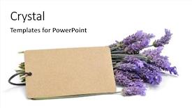  Presentation with lavender flowers - Beautiful PPT layouts featuring bunch of lavender flowers with a blank paper label on a white background backdrop and a white colored foreground