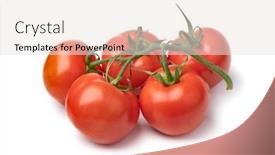  Presentation with organic - Slide deck enhanced with bunch-of-organic-red-ripe background and a sky blue colored foreground