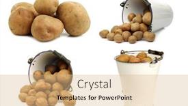  Presentation with enamel - Amazing slide deck having bunch-of-potatoes backdrop and a coral colored foreground