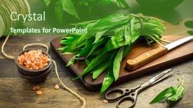  Presentation with pink himalayan salt himalayan salt - Slide set featuring bunch-of-ramson-or-bear background and a forest green colored foreground