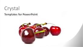  Presentation with bunch - 