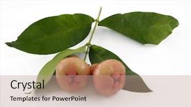  Presentation with bunch - Presentation theme featuring bunch of red juicy guavas background and a  colored foreground