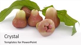  Presentation with red and white industry - Cool new presentation theme with bunch of red juicy guavas backdrop and a  colored foreground