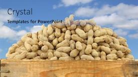  Presentation with peanuts - Audience pleasing PPT layouts consisting of bunch of roasted peanuts in a wooden box against a blue sky with clouds backdrop and a light blue colored foreground