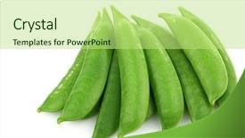  Presentation with bunch - Theme having bunch of sugar snaps background and a mint green colored foreground