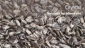  Presentation with sunflower - 