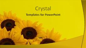  Presentation with flower corner - Presentation design with bunch-of-sunflowers-in-bottom background and a light gray colored foreground