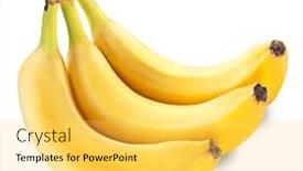 Presentation with bunch - Audience pleasing presentation theme consisting of bunch-of-three-bananas-isolated backdrop and a yellow colored foreground