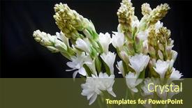  Presentation with tuberose - Beautiful theme featuring bunch-of-tuberose-flowers backdrop and a tawny brown colored foreground