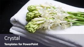  Presentation with tuberose - Cool new PPT theme with bunch-of-tuberose-flowers backdrop and a dark gray colored foreground