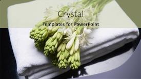  Presentation with tuberose - PPT theme having bunch-of-tuberose-flowers background and a mint green colored foreground