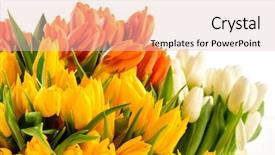  Presentation with jasmine spring flowers - Audience pleasing presentation theme consisting of bunch of tulips spring flowers backdrop and a lemonade colored foreground