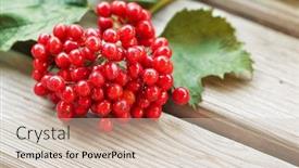  Presentation with food red - Audience pleasing presentation theme consisting of bunch of viburnum with leaves on wooden background fresh red berries the concept of healthy eating natural organic food backdrop and a soft green colored foreground