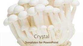  Presentation with mushroom - Beautiful presentation theme featuring bunch-of-white-bunapi-beech backdrop and a lemonade colored foreground