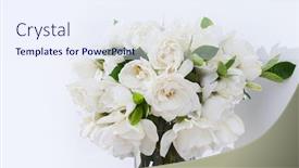  Presentation with bunch - Slide set enhanced with bunch-of-white-gardenia background and a sky blue colored foreground