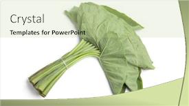  Presentation with bunch - Beautiful slides featuring bunch of whole fresh green taro leaves isolated on white background backdrop and a mint green colored foreground