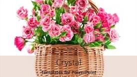  Presentation with pink roses - Presentation theme consisting of bunch-pink-roses-in-wicker background and a coral colored foreground