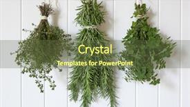  Presentation with herbs - Slide deck enhanced with bunches of fresh herbs hanging over white timber includes thyme rosemary and oregano background and a tawny brown colored foreground