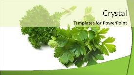  Presentation with herbs - Beautiful presentation design featuring wing dove on white background photos in the studio backdrop and a light gray colored foreground.