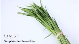  Presentation with garlic - Cool new PPT theme with bundle-of-garlic-chives-isolated backdrop and a white colored foreground