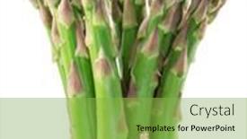  Presentation with asparagus - Slide set having bundle-of-green-asparagus-spears background and a seafoam green colored foreground