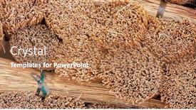  Presentation with thatch roof - Beautiful slide set featuring bundles-of-grass-for-thatched backdrop and a coral colored foreground