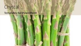  Presentation with green gold and white - Presentation theme with bundles-of-green-asparagus-spears background and a coral colored foreground