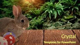  Presentation with plants growing - Presentation featuring bunny with polka dot easter eggs against trees and plants growing in forest background and a tawny brown colored foreground