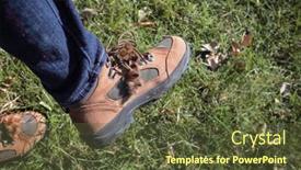  Presentation with stuck - PPT layouts with burdock-burrs-stuck-on-hiking background and a tawny brown colored foreground