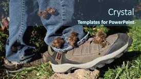  Presentation with stuck - Slide deck consisting of burdock-burrs-stuck-on-hiking background and a ocean colored foreground