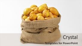  Presentation with baby - PPT layouts featuring burlap sack of fresh baby background and a coral colored foreground