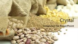  Presentation with beans legumes - Audience pleasing presentation consisting of burlap sacks with legumes backdrop and a yellow colored foreground