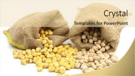  Presentation with chickpea plant - Beautiful PPT theme featuring burlap sacks with uncooked chickpea backdrop and a lemonade colored foreground